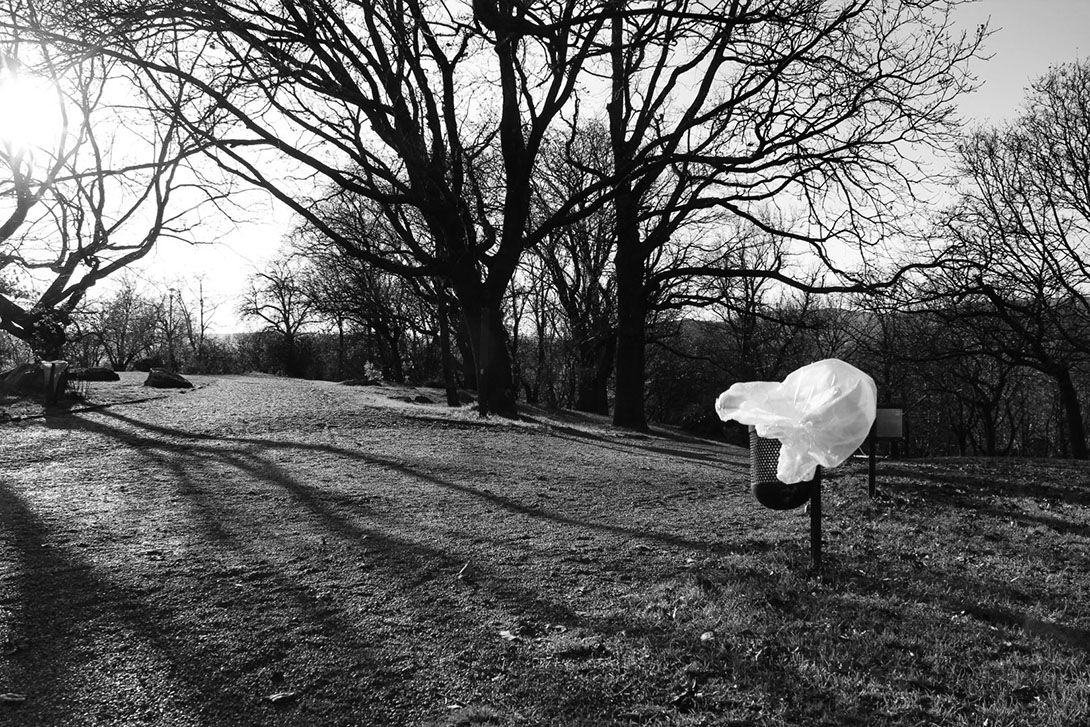 © Komoróczy Eszter