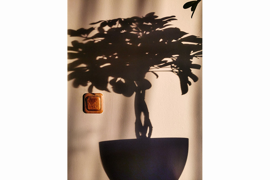 © Szatmári Ildikó